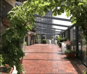 Screen Shot 2018-08-03 at 2.21.29 AM