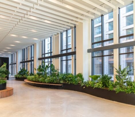 230203_Skylight_04168